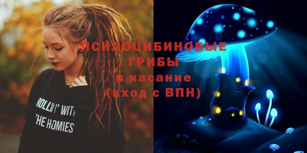 скорость Медвежьегорск