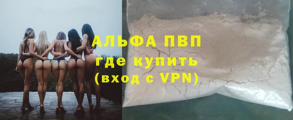 стафф Майский