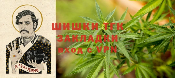 сатива Магадан