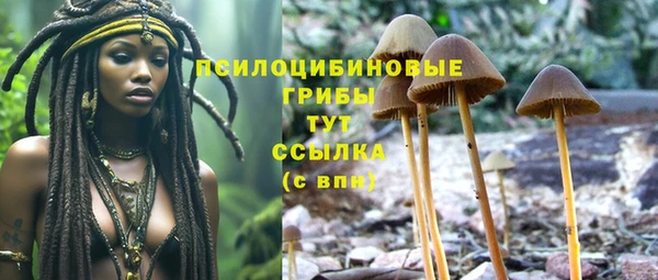 стафф Майский