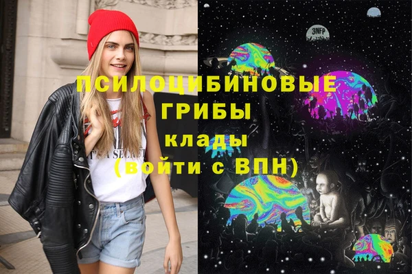 скорость Медвежьегорск