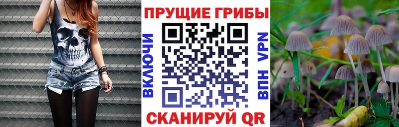 Галлюциногенные грибы MAGIC MUSHROOMS  Междуреченск 
