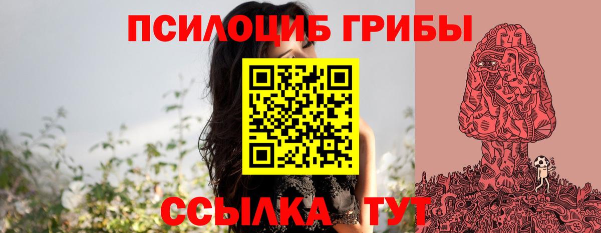 Псилоцибиновые грибы мицелий Междуреченск
