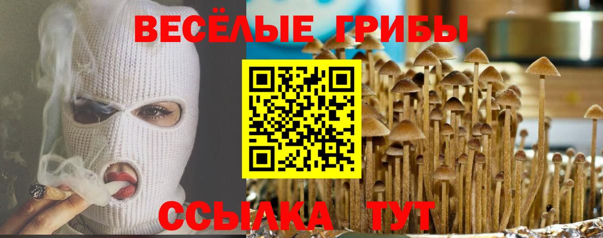 Междуреченск  Псилоцибиновые грибы прущие грибы  Галлюциногенные грибы Psilocybine cubensis  купить наркоту  Вход с VPN 