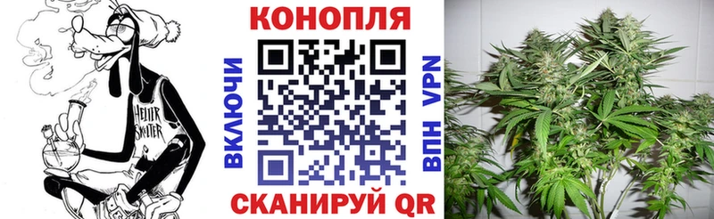 Канабис сатива  kraken ссылки  Междуреченск 